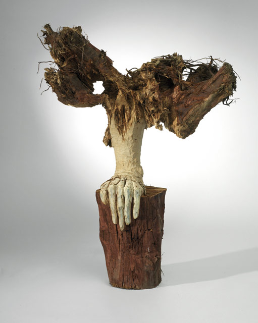 Anatomie van de boom